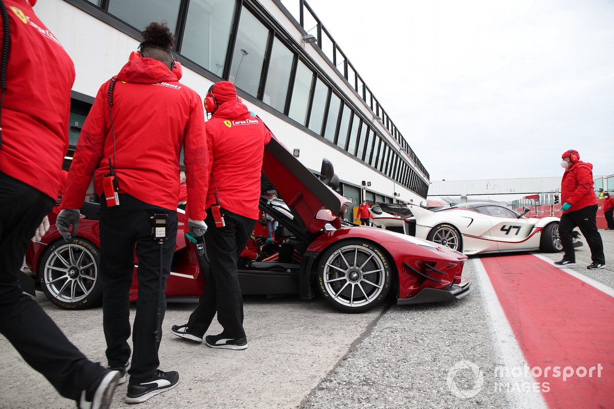 FXX Program