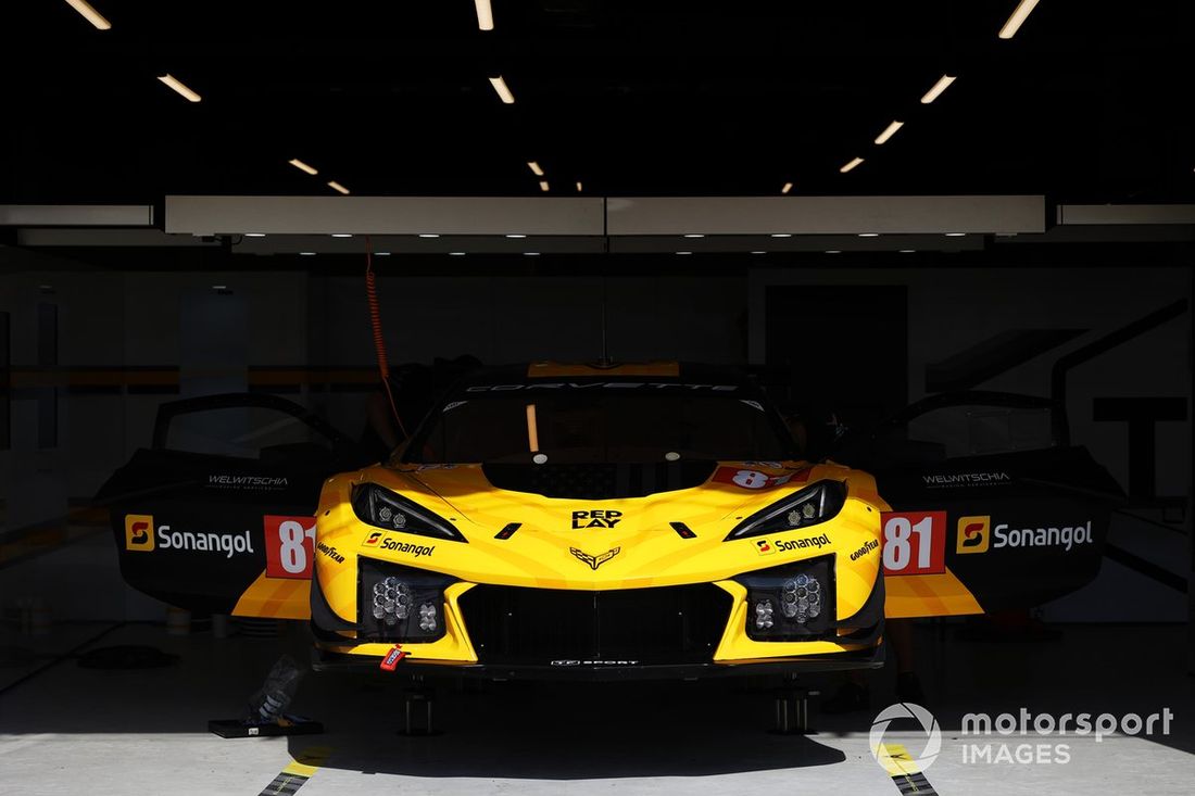 #81 TF Sport Corvette Z06 LMGT3.R: Tom Van Rompuy, Rui Andrade, Charlie Eastwood