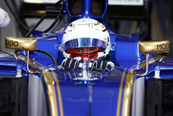 Antonio Giovinazzi, Sauber