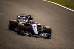 Pierre Gasly, Scuderia Toro Rosso STR12