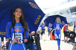 Grid Girl