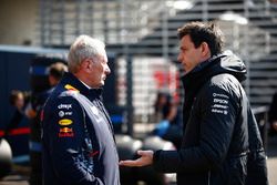 Спортивный консультант Red Bull Хельмут Марко и руководитель Mercedes AMG F1 Тото Вольф