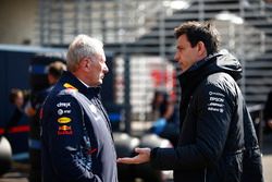 Helmut Markko, Consultant, Red Bull Racing, Toto Wolff, Executive Director Mercedes AMG F1