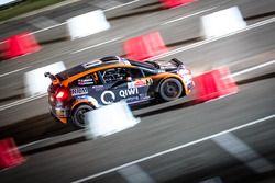 Алексей Лукьянюк и Алексей Арнаутов, Ford Fiesta R5