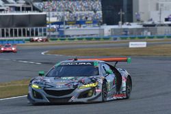 #86 Michael Shank Racing Acura NSX, GTD: Katherine Legge, Alvaro Parente, Trent Hindman, A.J. Allmen