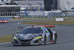 #86 Michael Shank Racing Acura NSX, GTD: Katherine Legge, Alvaro Parente, Trent Hindman, A.J. Allmendinger