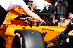 Стоффель Вандорн, McLaren MCL33
