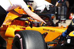 Стоффель Вандорн, McLaren MCL33