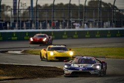 #67 Chip Ganassi Racing Ford GT, GTLM: Ryan Briscoe, Richard Westbrook, Scott Dixon