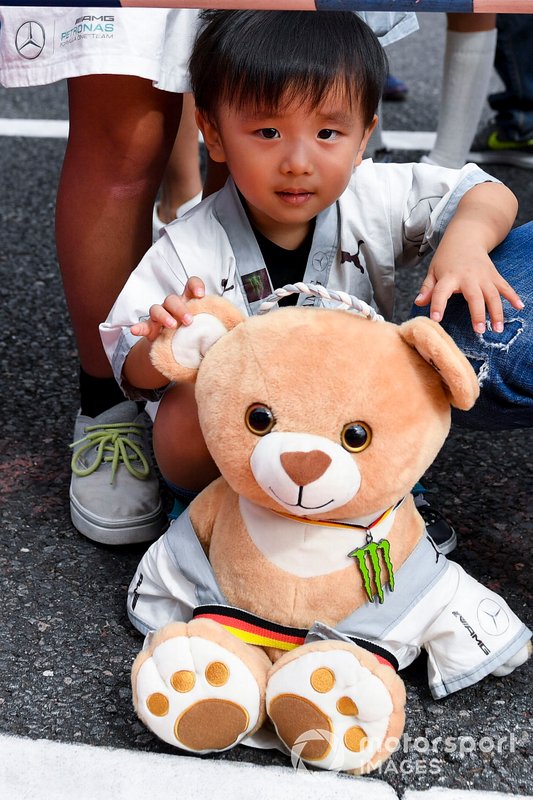 Teddys und Co.