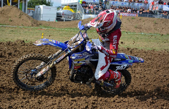 Michele Cervellin