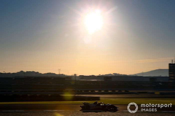 Maximilian Gunther, BMW I Andretti Motorsports, BMW iFE.21