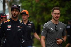 Daniel Ricciardo, Red Bull Racing en Stoffel Vandoorne, McLaren