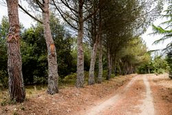 Rally Sardegna atmosphere