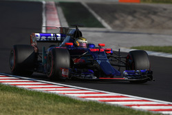 Sean Gelael, Scuderia Toro Rosso STR1