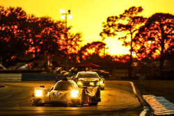 #85 JDC/Miller Motorsports ORECA 07: Mikhail Goikhberg, Chris Miller, Stephen Simpson