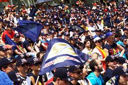 Carlos Sainz Jr., Scuderia Toro Rosso fans