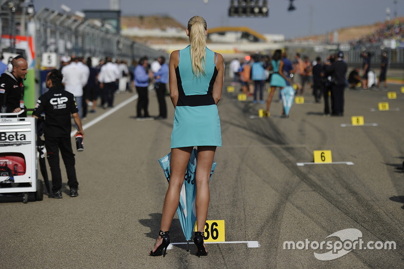 Hot grid girl