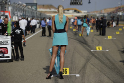 Une charmante gridgirl