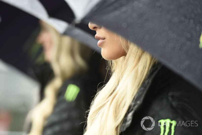 Chicas de la parrilla Monster Energy