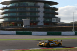 Frits van Eerd, Jan Lammers, Racing Team Nederland, Dallara P217