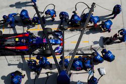 Pierre Gasly, Toro Rosso STR13 Honda