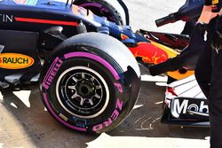 Red Bull Racing RB14 front wheel and Pirelli tyre