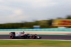 Fernando Alonso, McLaren MP4-31
