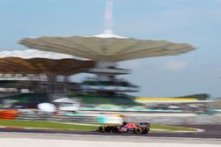 Carlos Sainz Jr, Scuderia Toro Rosso STR11