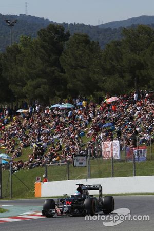 Fernando Alonso, McLaren MP4-31