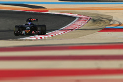 Max Verstappen, Scuderia Toro Rosso STR11