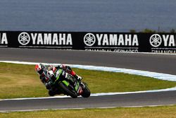 Jonathan Rea, Kawasaki