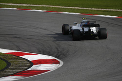 Lance Stroll, Williams FW40