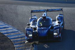 #90 Visit Florida Racing Ligier LMP2: Marc Goossens, Renger van der Zande