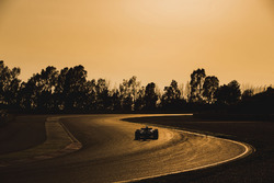 Felipe Massa, Williams FW40