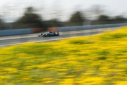 Valtteri Bottas, Mercedes AMG F1 W08