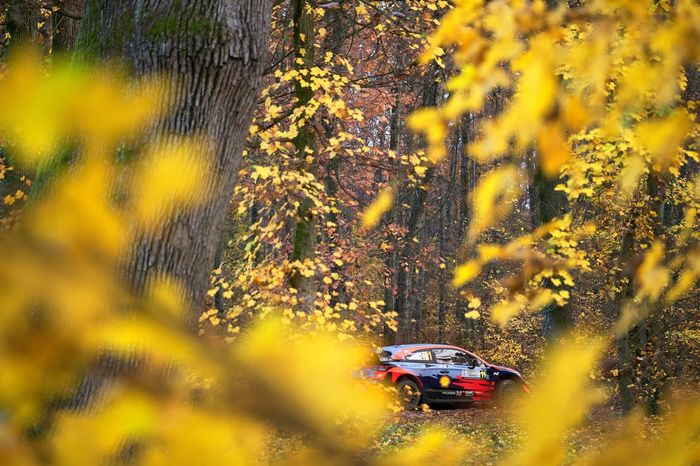 Thierry Neuville, Martijn Wydaeghe, Hyundai Motorsport Hyundai i20 Coupe WRC