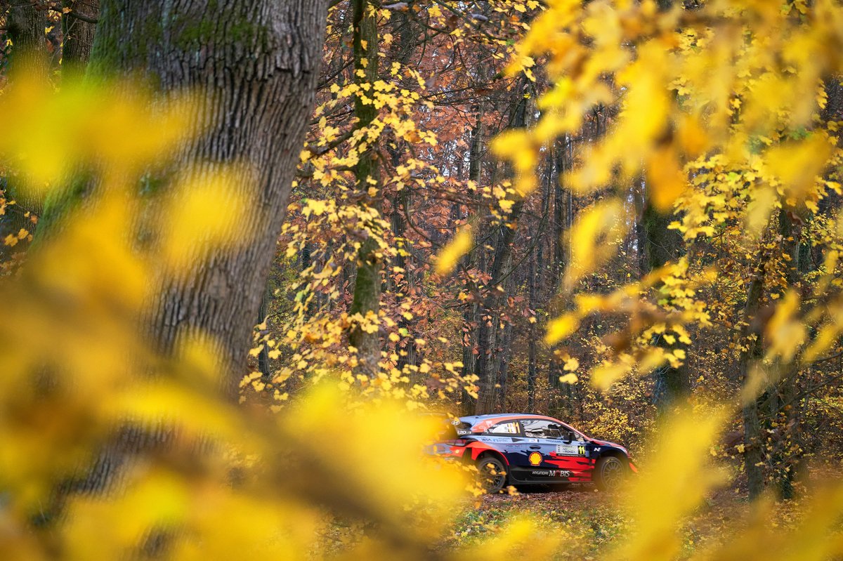 Thierry Neuville, Martijn Wydaeghe, Hyundai Motorsport Hyundai i20 Coupe WRC