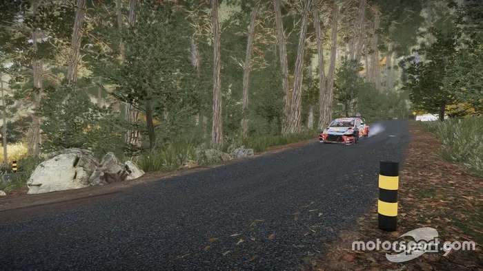 Imagen del WRC 9