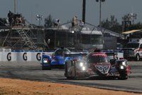 Sebring