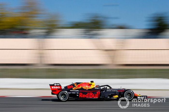Dan Ticktum, Red Bull Racing RB15  