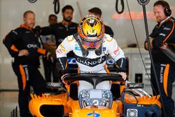 Stoffel Vandoorne, McLaren, stapt in de auto