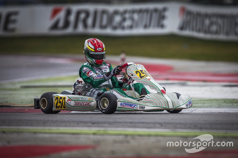 David Vidales, Tony Kart