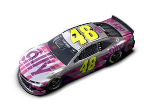 Jimmie Johnson, Hendrick Motorsports, Phoenix paint sheme
