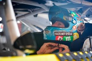 Kyle Busch, Joe Gibbs Racing, Toyota Camry M&M's Hazelnut
