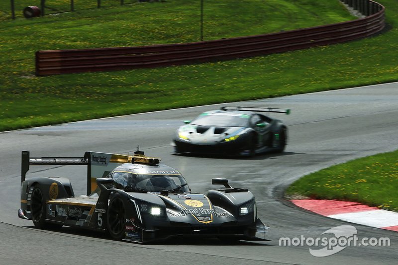 #5 Mustang Sampling Racing Cadillac DPi, DPi: Joao Barbosa, Filipe Albuquerque
