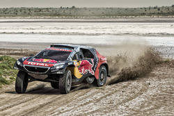 #104 Peugeot: Cyril Despres, David Castera