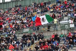 Fans in the grandstand