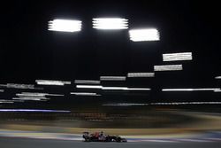 Max Verstappen, Scuderia Toro Rosso STR11
