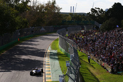 Felipe Nasr, Sauber C35